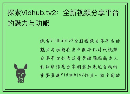 探索Vidhub.tv2：全新视频分享平台的魅力与功能